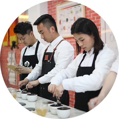 教学师资/教学模式